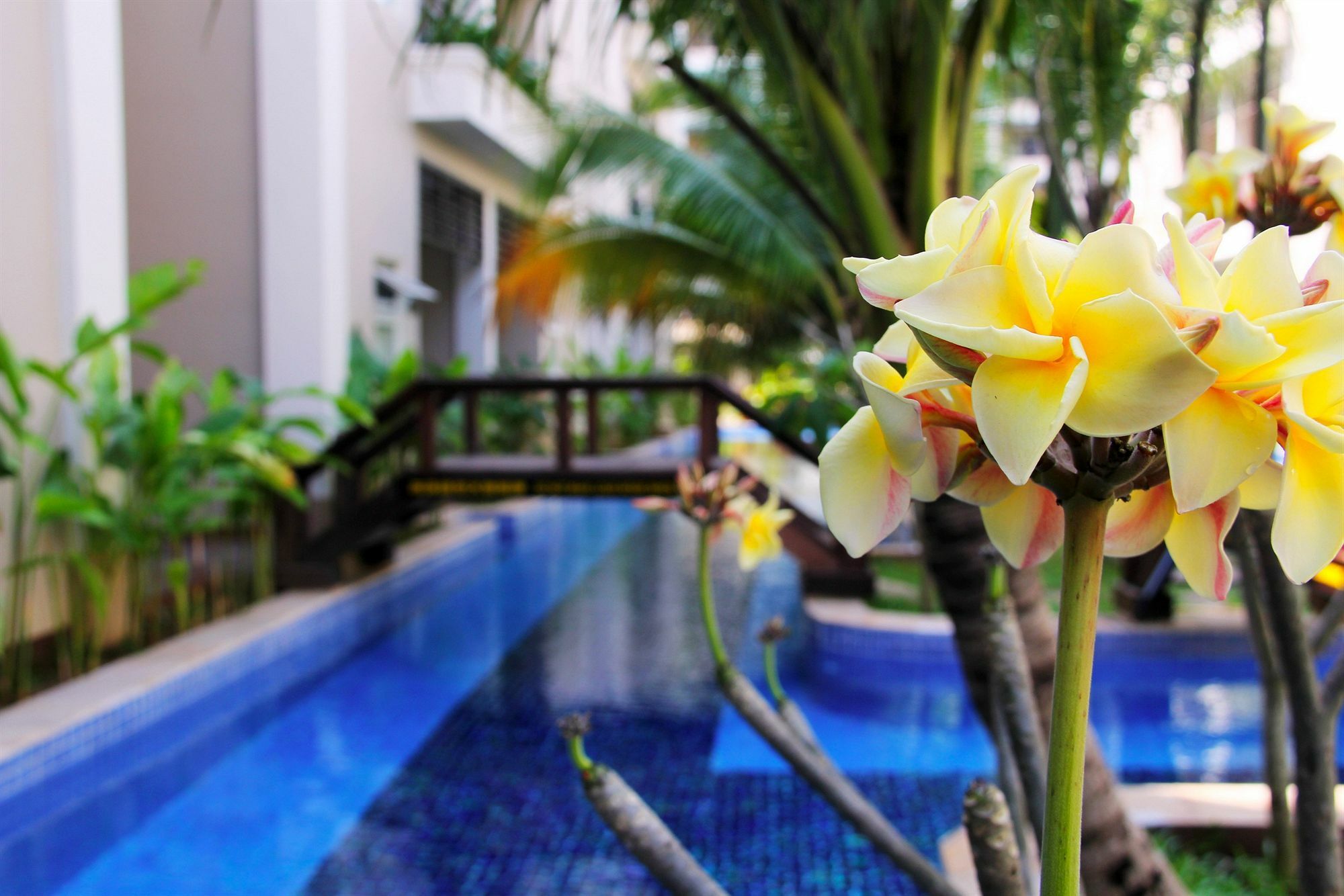 Bali Hotel Phnompenh Exteriér fotografie